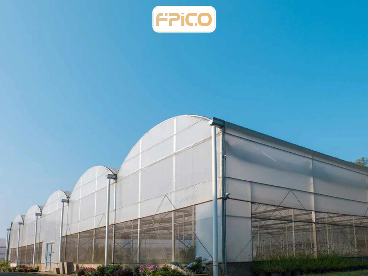 FPICO
