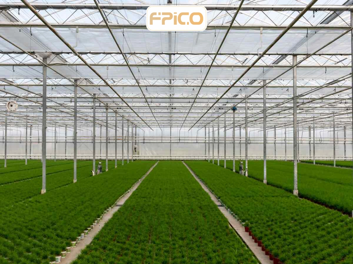 FPICO
