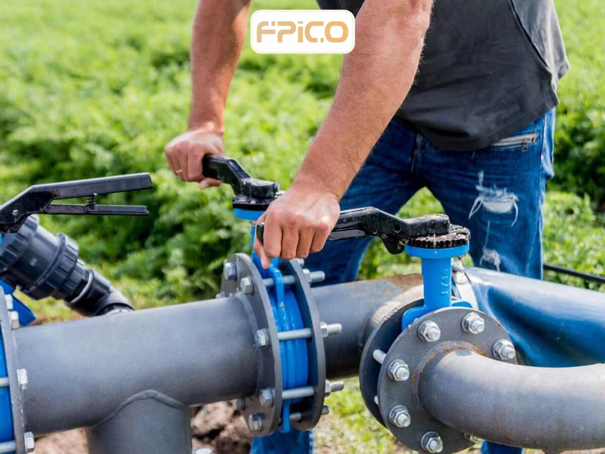 FPICO