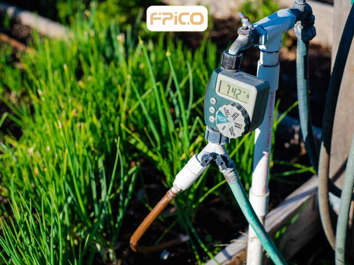 FPICO