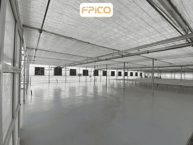 FPICO
