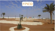 FPICO