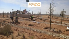 FPICO