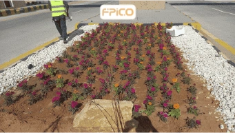 FPICO