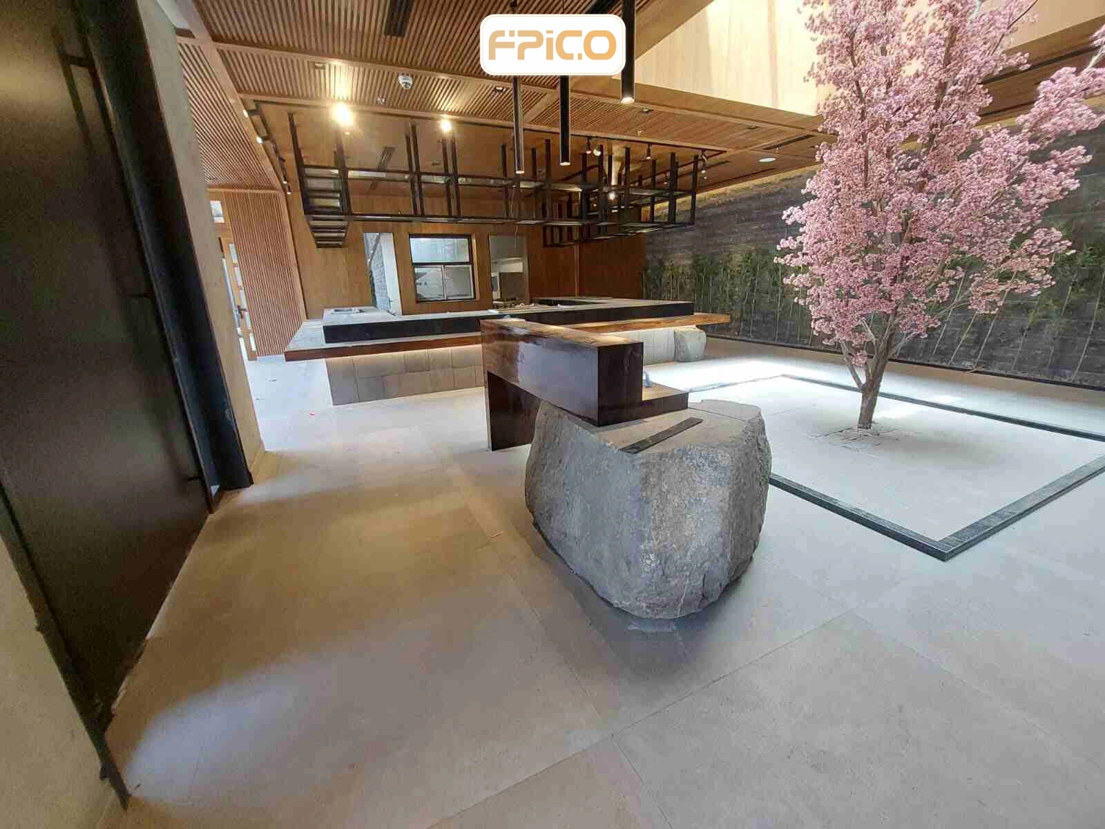 FPICO