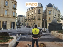 FPICO