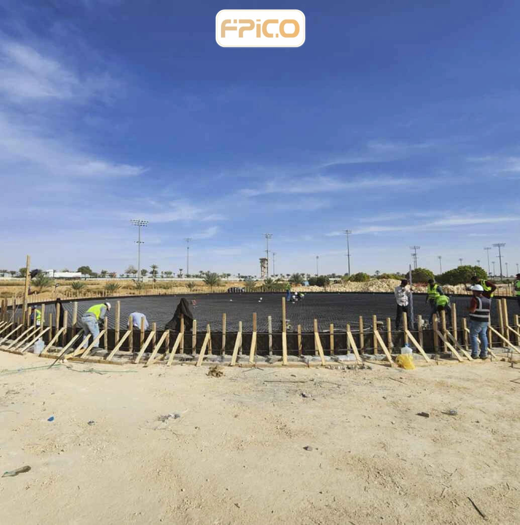 FPICO